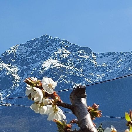Villa Sole Colico Eksteriør bilde